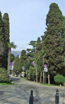 Прикрепленное изображение: DSCF6698.jpg